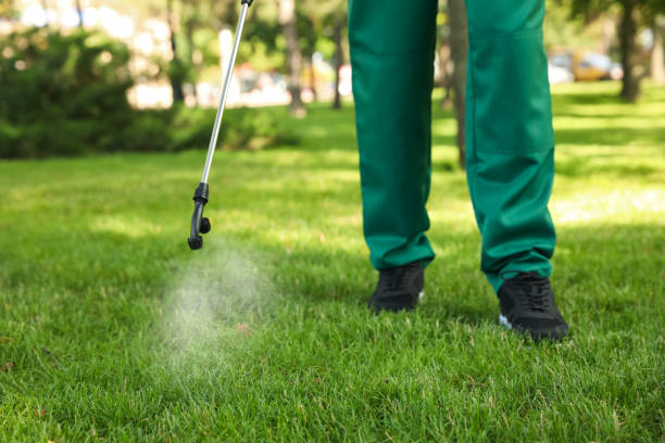Trusted Covina, CA Pest Control Experts